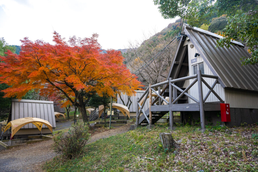 キャンプ場