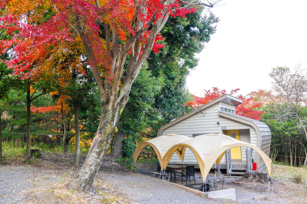 キャンプ場