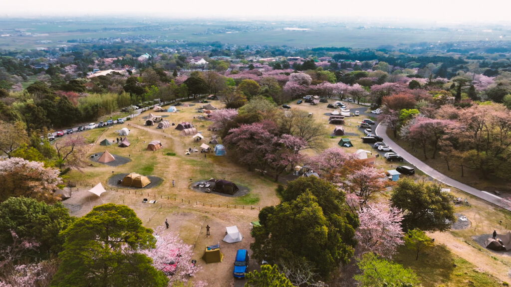 キャンプ場